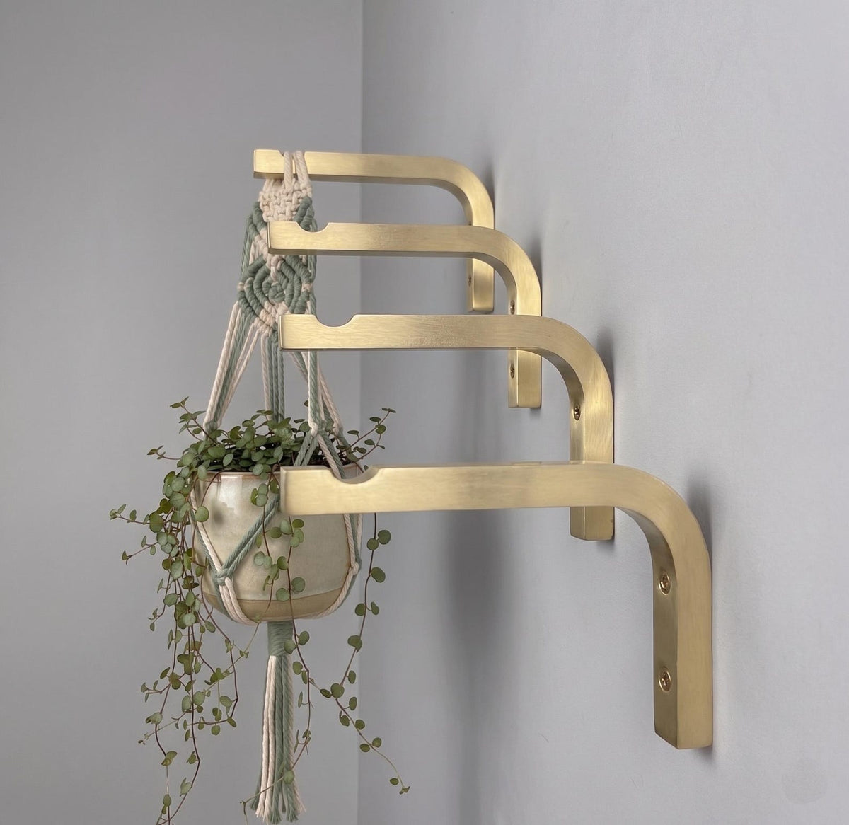 Solid Brass Plant Hanger Hook, Modern Minimalist Wall Bracket, Indoor Planter Holder