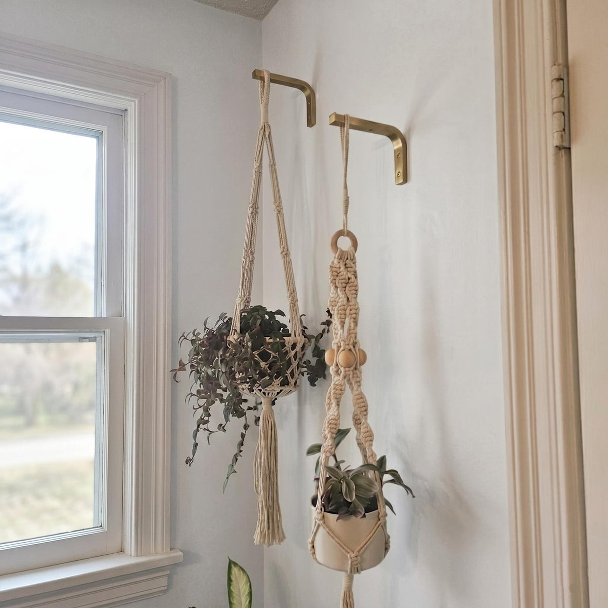 Solid Brass Plant Hanger Hook, Modern Minimalist Wall Bracket, Indoor Planter Holder