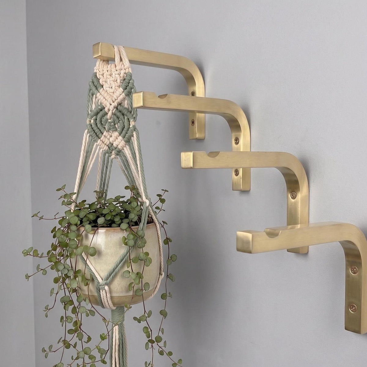 Solid Brass Plant Hanger Hook, Modern Minimalist Wall Bracket, Indoor Planter Holder